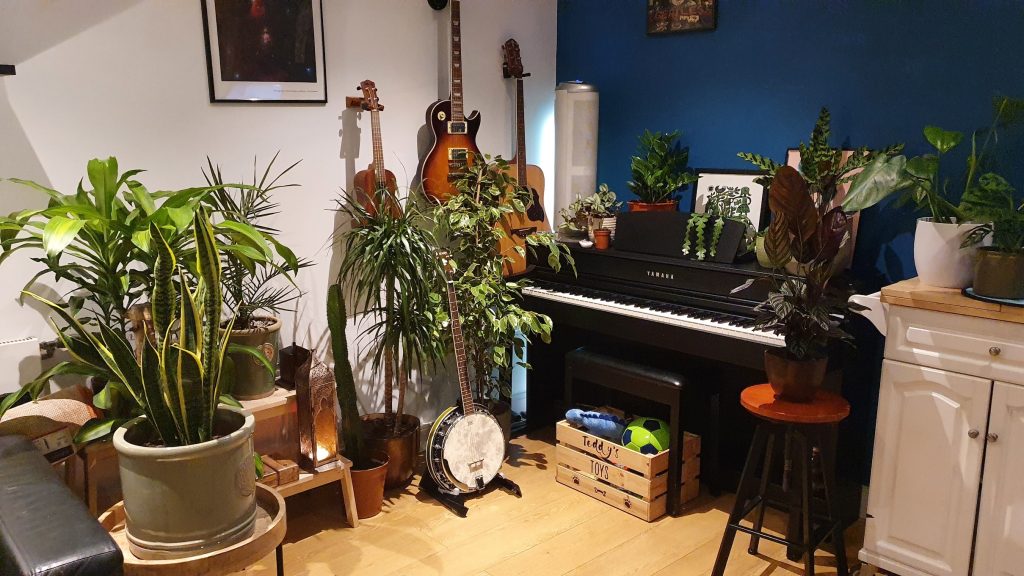 Houseplants in a London Flat